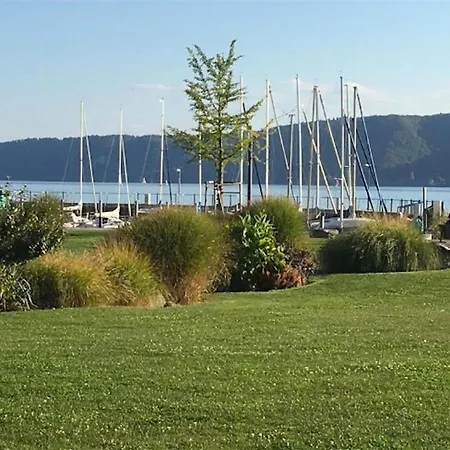 بيت للعطل Carpe Diem *