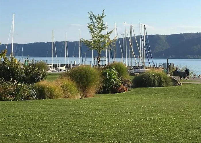 بيت للعطل Carpe Diem *